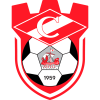 Team logo